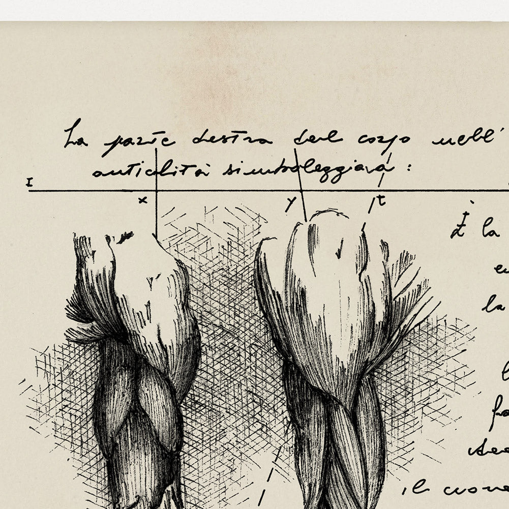 "Brachium" - Stampa D'arte