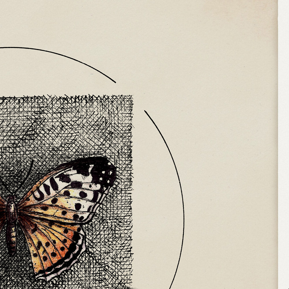 "Butterfly I" - Stampa D'arte