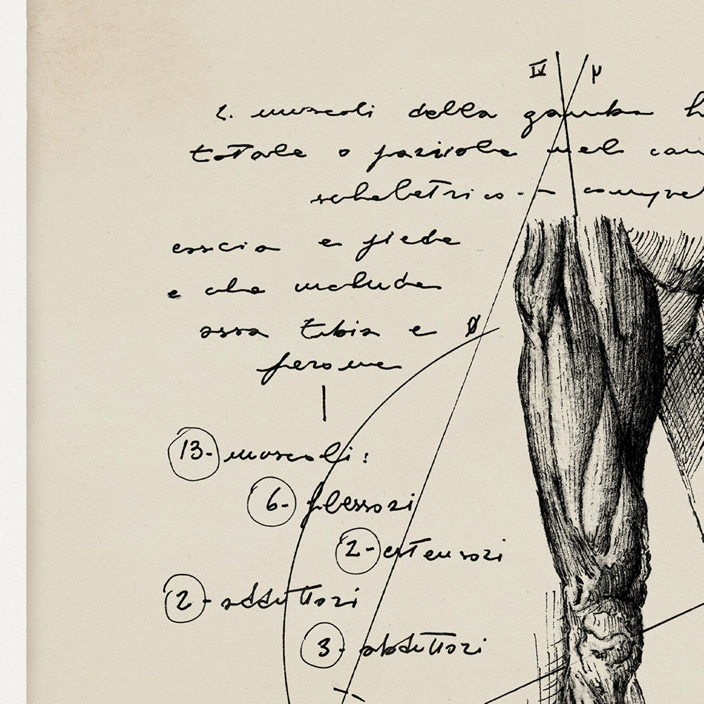 "Crus" - Stampa D'arte