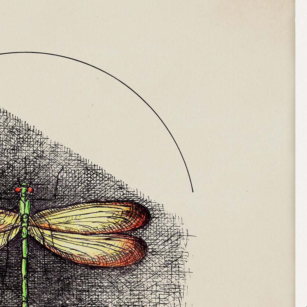 "Dragonfly I" - Stampa D'arte
