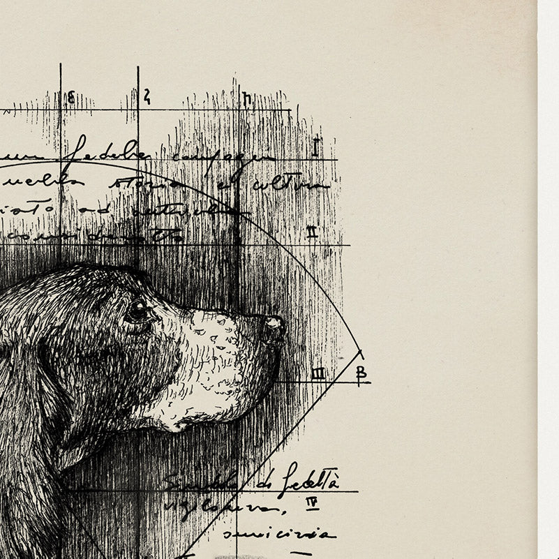 "Fidelitas" - Stampa D'arte