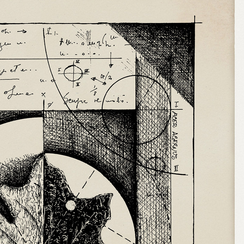 "Foliis Deciduis Et Pertinax" - Stampa D'arte