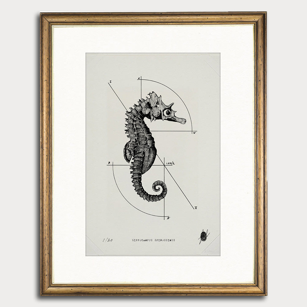 "Hippocampus Spinosissimus" - Stampa D'arte