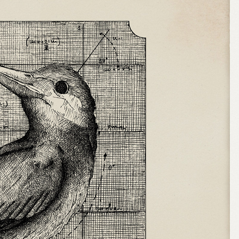 "Martin Pescatore" - Stampa D'arte