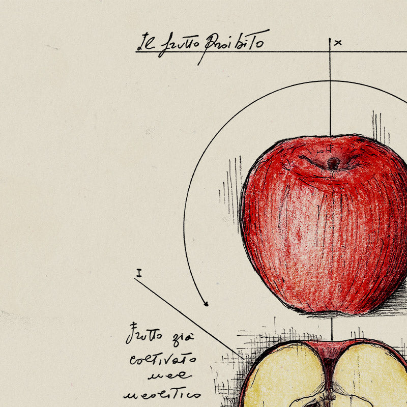 "Melum" - Stampa D'arte