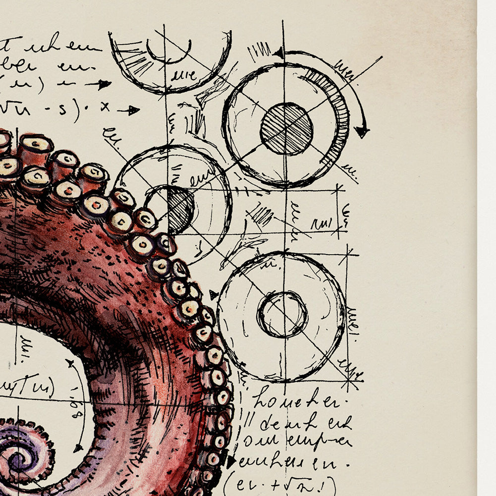 "Octopus" - Stampa D'Arte