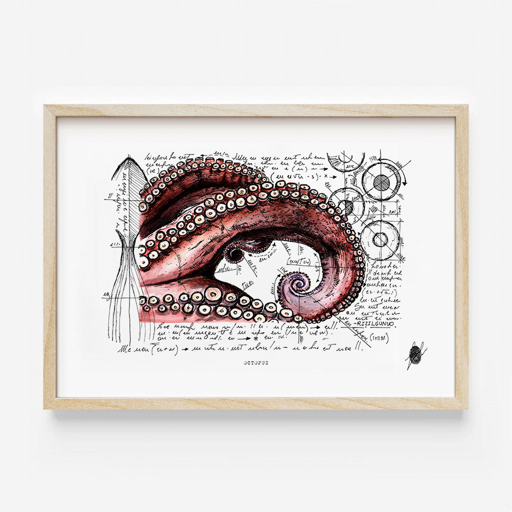 "Octopus" - Stampa D'Arte