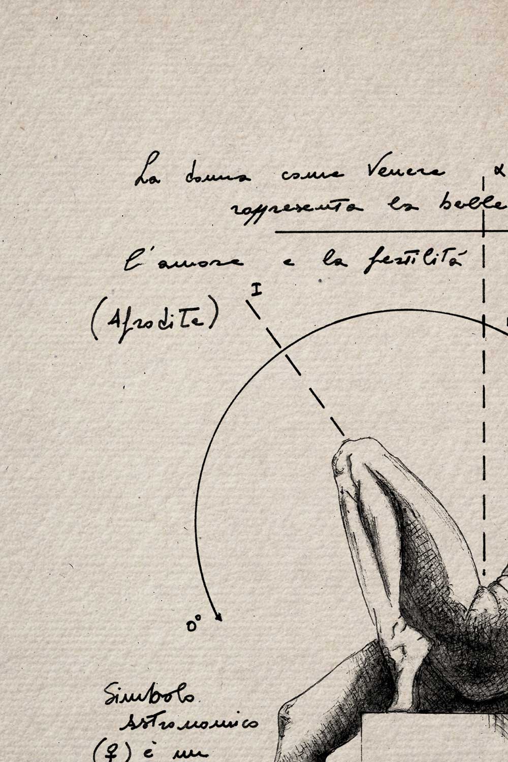 Ink detail Veneris - close-up of the drawing and text on textured ivory paper | Lorenzo Caia