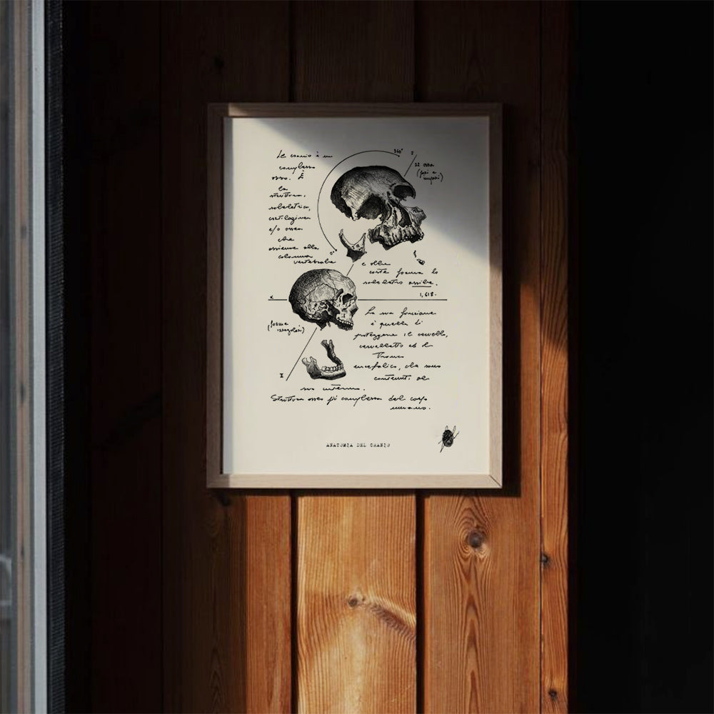 "Skull Anatomy" - Art Print