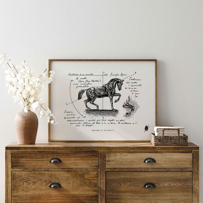 "Anatomy of a Horse" - Art Print