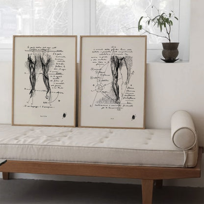 "Anatomy II" - Set of 2 Prints