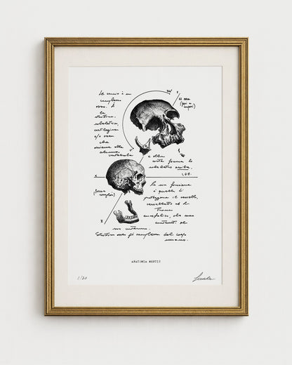 "Skull Anatomy" - Art Print