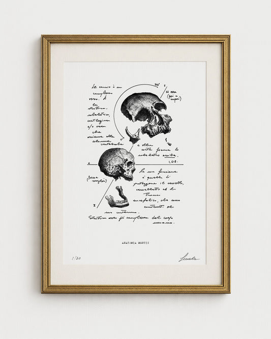 "Anatomia Mentis" - Stampa d’Arte Anatomica