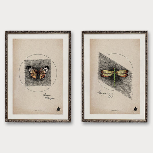 "Arthropods I" - Set of 2 Prints
