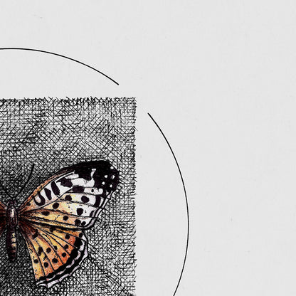 "Butterfly I" - Art Print