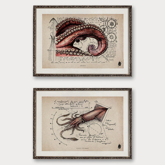 "Cephalopods I" - Set of 2 Prints