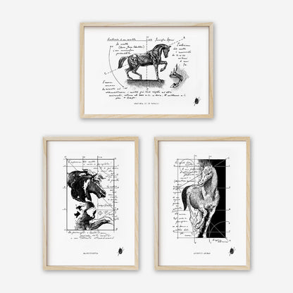 "The Power of the Horse" - Set of 3 Prints
