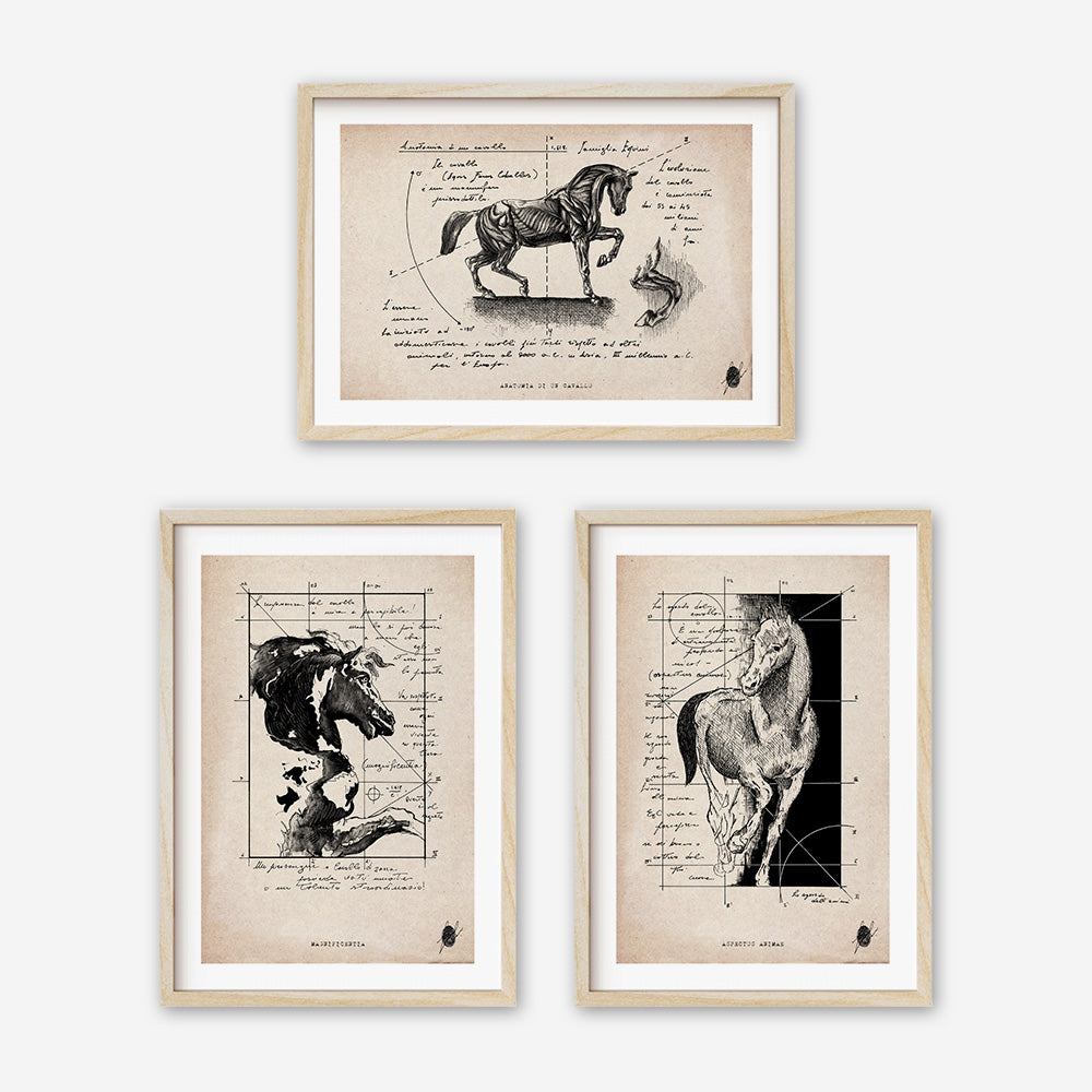 "The Power of the Horse" - Set of 3 Prints