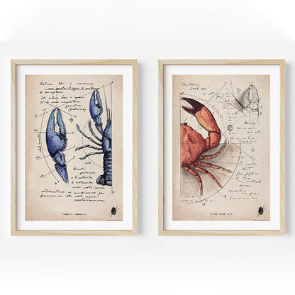 "Crustaceans I" - Set of 2 Prints
