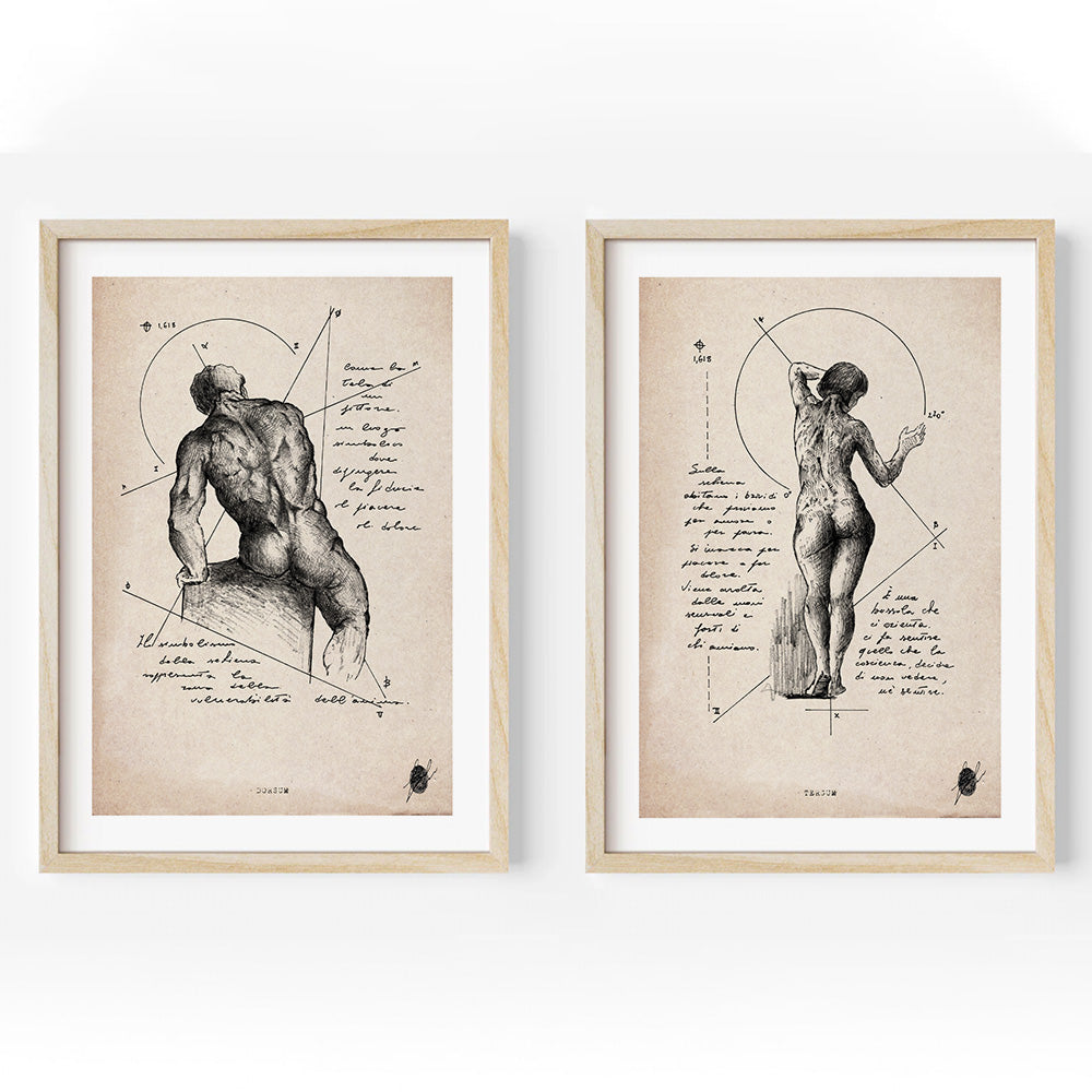 "Dorsum A Tergum" - Set of 2 Prints