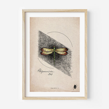 "Dragonfly I" - Art Print