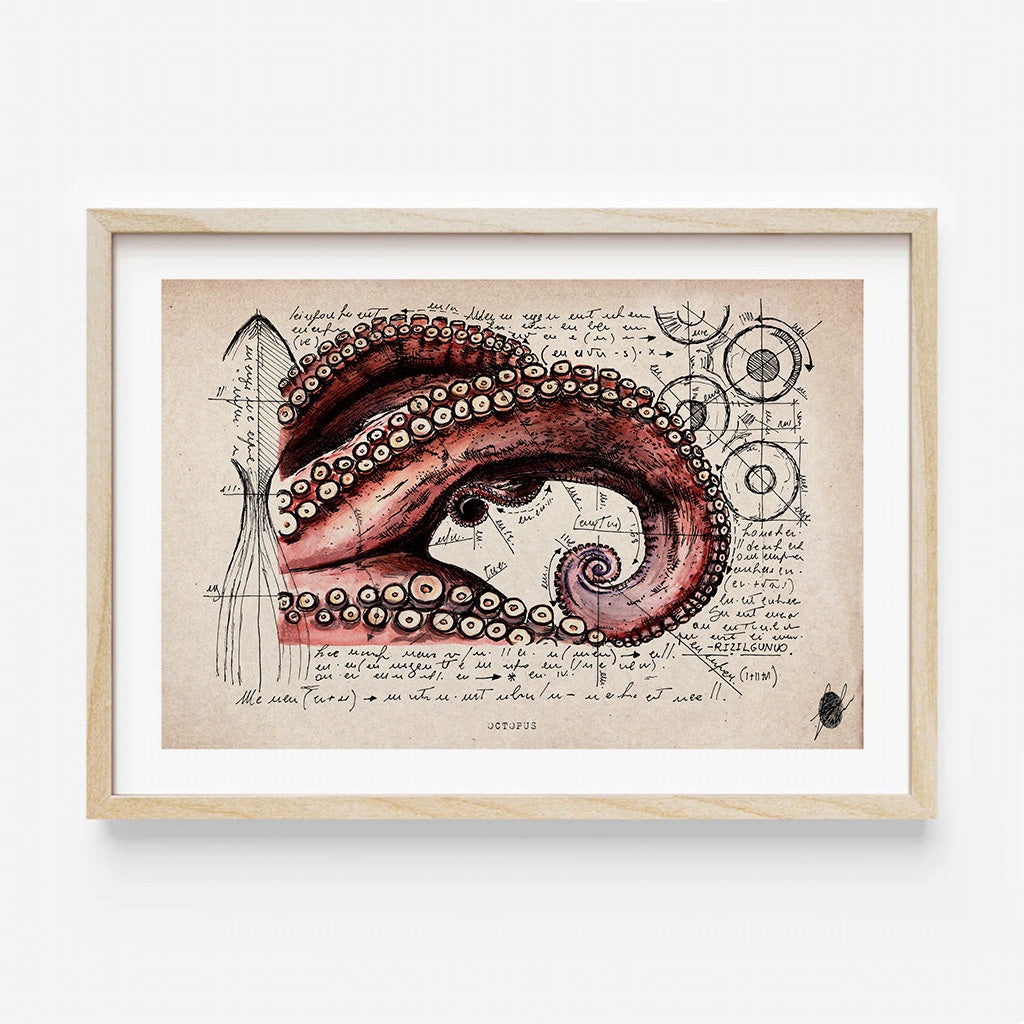 "Octopus" - Art Print