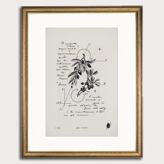 "Olive Branches" - Art Print