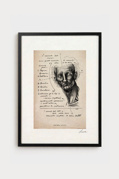 Ink illustration Anatomia Capitis on ivory background - archival fine art print, anatomy diagram | Lorenzo Caia