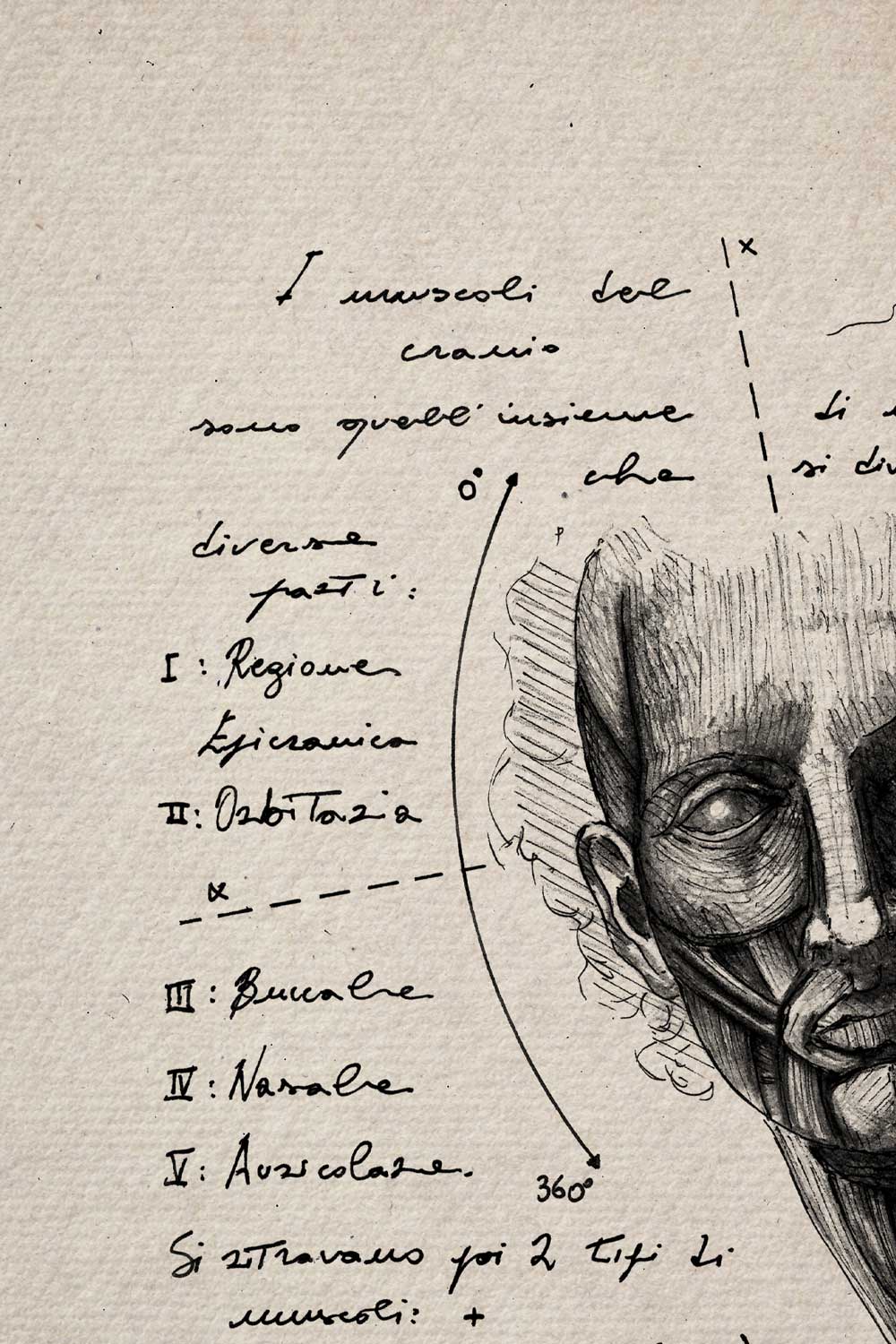 Ink detail Anatomia Capitis - facial muscles and handwriting on textured ivory paper background | Lorenzo Caia