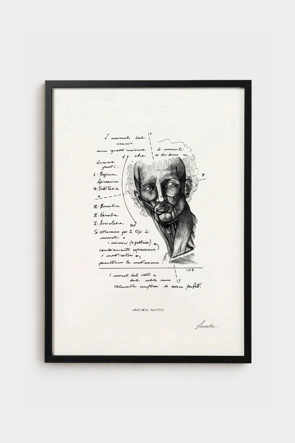 Ink illustration Anatomia Capitis - fine art print on white background, head anatomy diagram | Lorenzo Caia