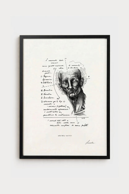 Ink illustration Anatomia Capitis - fine art print on white background, head anatomy diagram | Lorenzo Caia