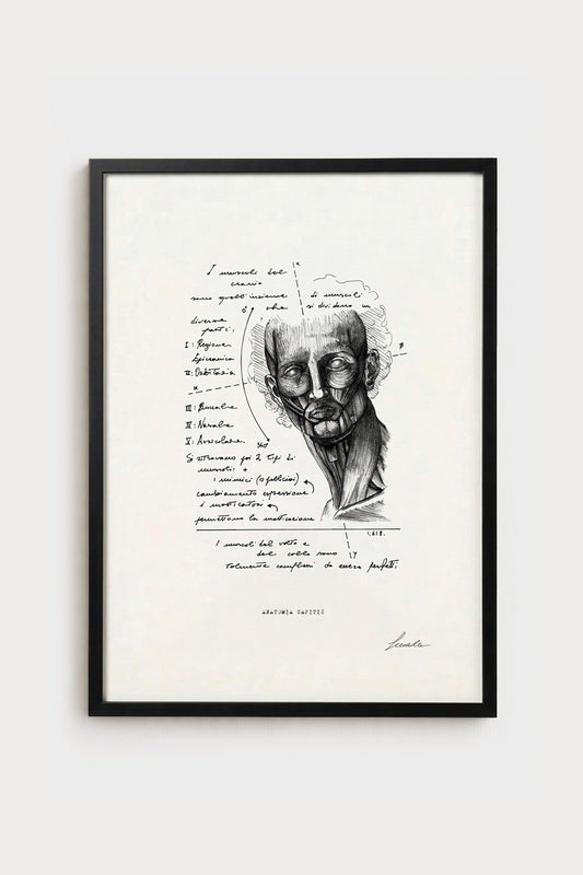 Ink illustration Anatomia Capitis - fine art print on white background, head anatomy diagram | Lorenzo Caia