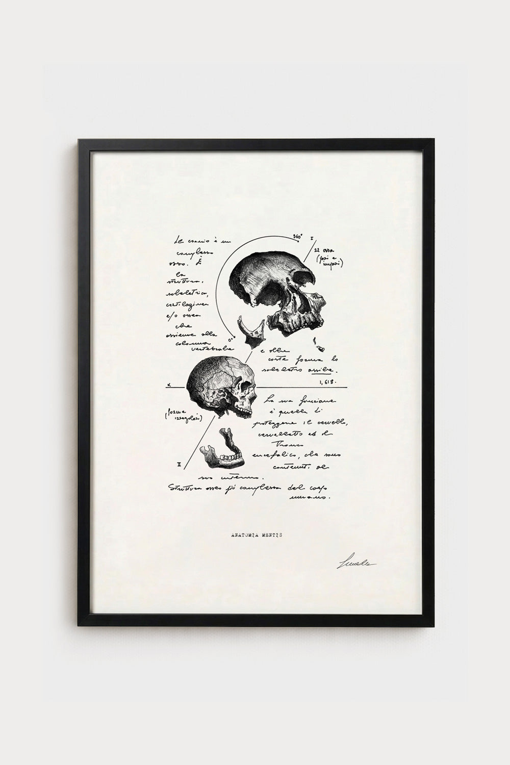 Ink illustration Anatomia Mentis - fine art print on white background, human skull anatomy diagram | Lorenzo Caia