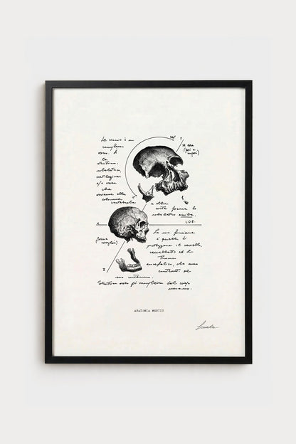 Ink illustration Anatomia Mentis - fine art print on white background, human skull anatomy diagram | Lorenzo Caia