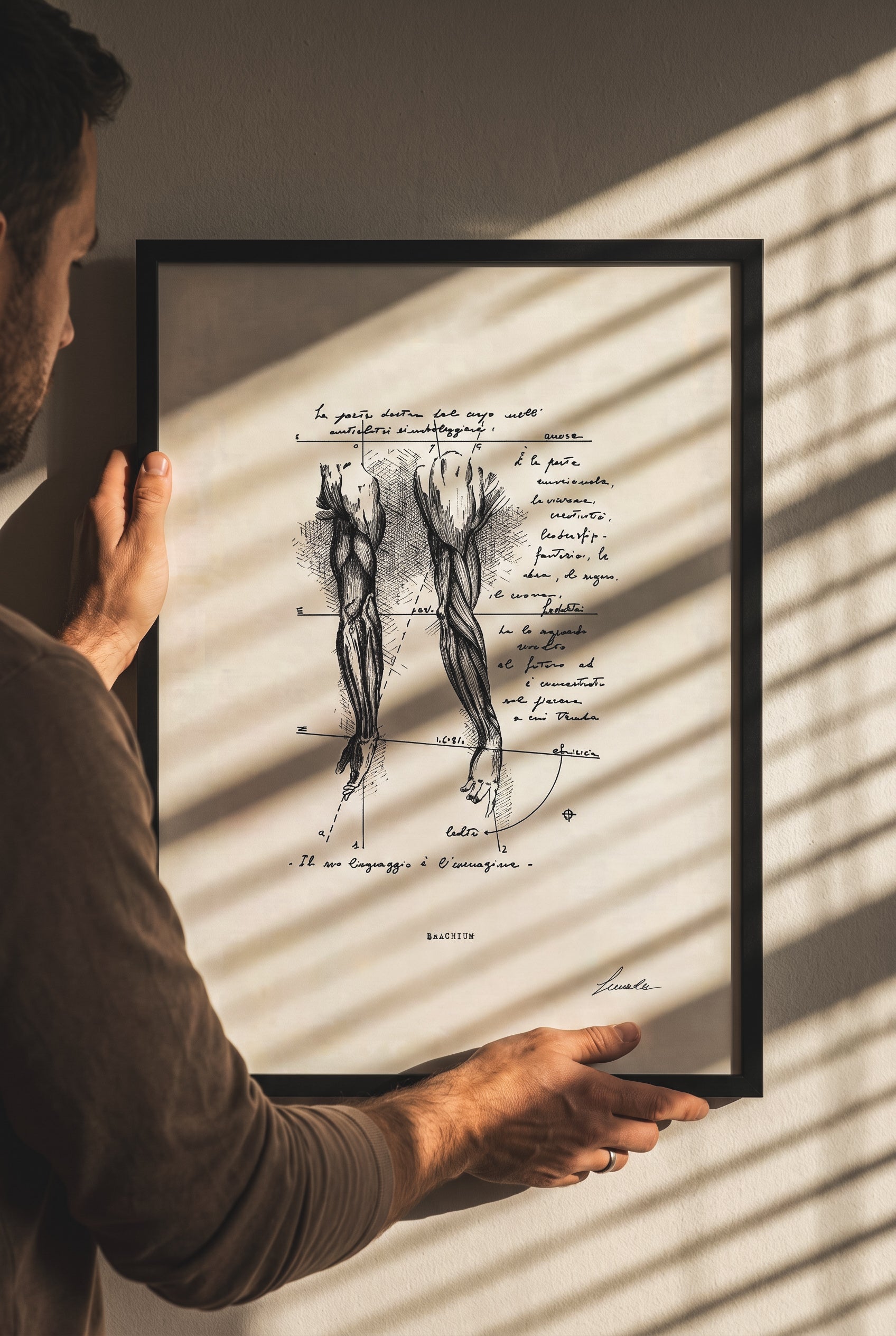 Framed print Brachium held by hands in sunlit room with shadow details - fine art wall art | Lorenzo Caia