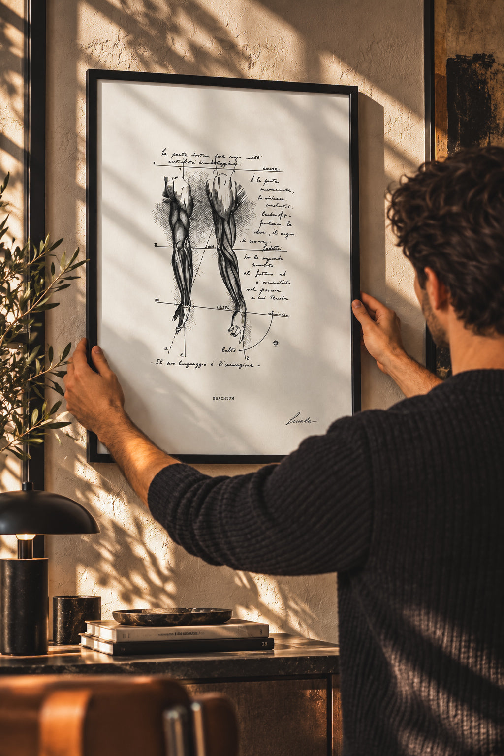 Persona che posiziona la stampa anatomica Brachium con cornice nera su una parete materica illuminata dal sole.