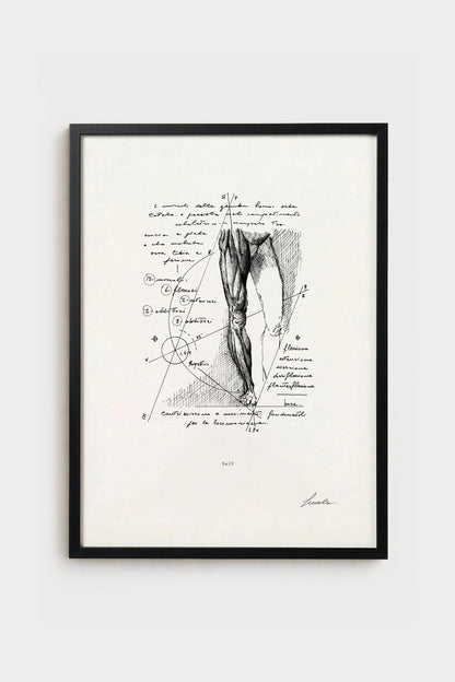 Ink illustration Crus - fine art print on white background, human leg anatomy diagram | Lorenzo Caia