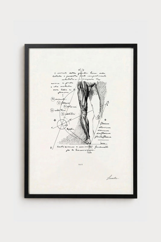 Ink illustration Crus - fine art print on white background, human leg anatomy diagram | Lorenzo Caia