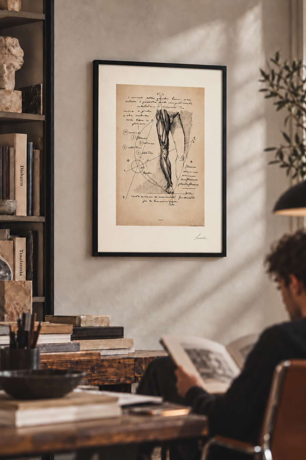 Stampa anatomica Crus con fondo avoriato in uno studio caldo con libri e una persona seduta a leggere.