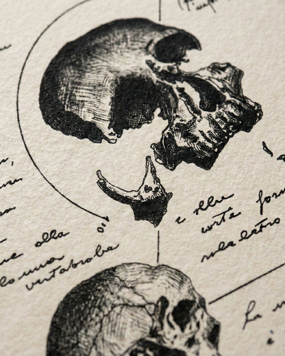 Zoom macro sulla texture della carta fine-art e sul dettaglio dell'inchiostro pigmentato dell'opera Anatomia Mentis. Si notano la grana della carta cotone e la precisione del tratteggio anatomico.