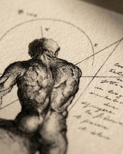Macro della texture della carta e del tratteggio a inchiostro di un disegno anatomico di Lorenzo Caia, che mostra i dettagli muscolari della schiena.