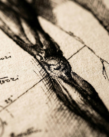Macro della tecnica di disegno e del tratteggio artigianale utilizzato da Lorenzo Caia per le sue opere anatomiche.