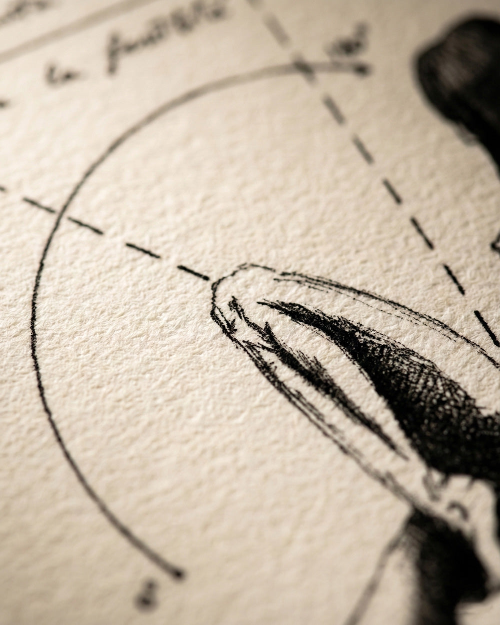 Macro della trama della carta artistica di alta qualità utilizzata per le edizioni limitate di Lorenzo Caia.