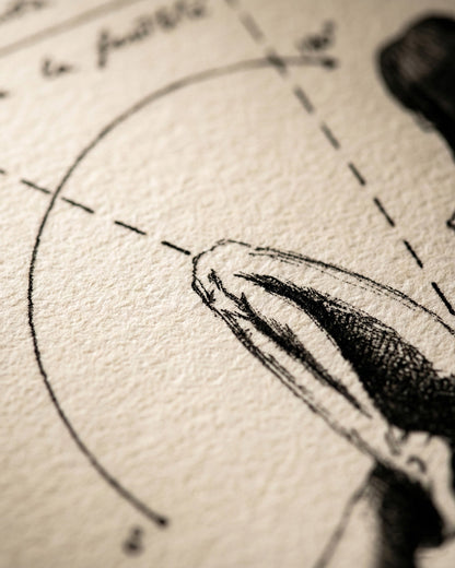 Macro della trama della carta artistica di alta qualità utilizzata per le edizioni limitate di Lorenzo Caia.