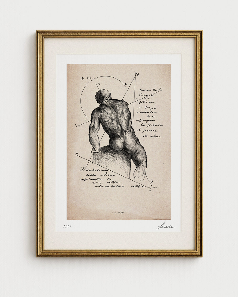 Opera d'arte "Dorsum" di Lorenzo Caia su carta effetto pergamena, studio anatomico artistico con geometria e testi scritti a mano.