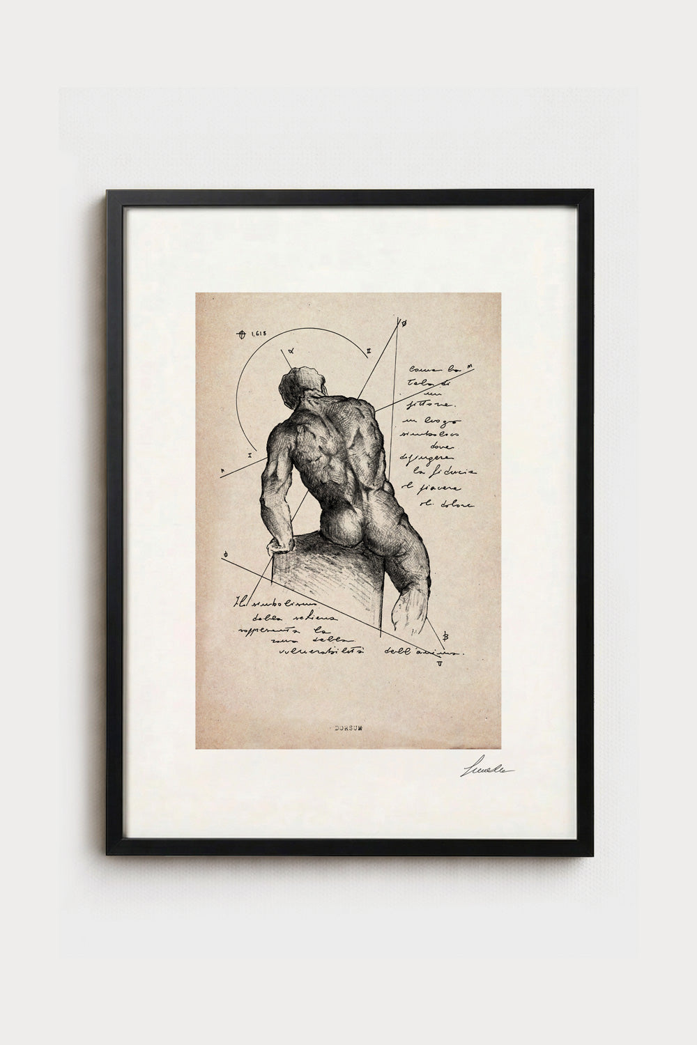 Dorsum - Fine Art Ink Print | Anatomy