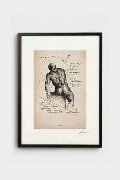 Dorsum - Fine Art Ink Print | Anatomy