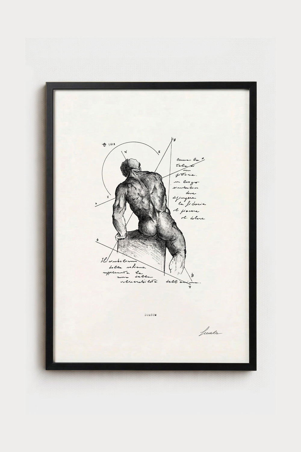 Dorsum - Fine Art Ink Print | Anatomy