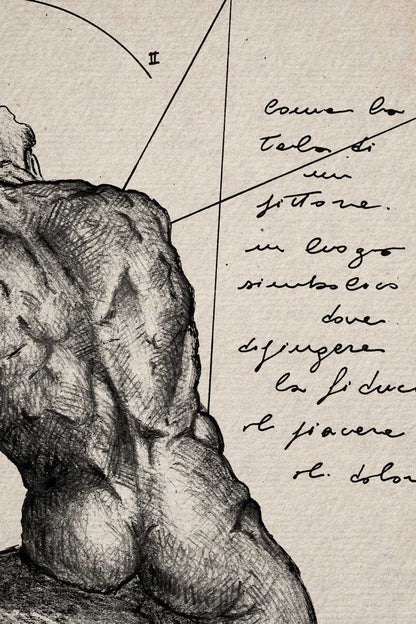 Dorsum - Fine Art Ink Print | Anatomy