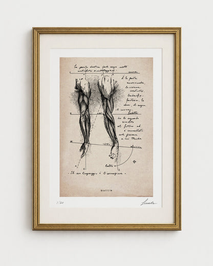 Stampa d'arte Brachium di Lorenzo Caia in edizione limitata 1 di 20, versione con carta effetto vintage e cornice dorata sottile.